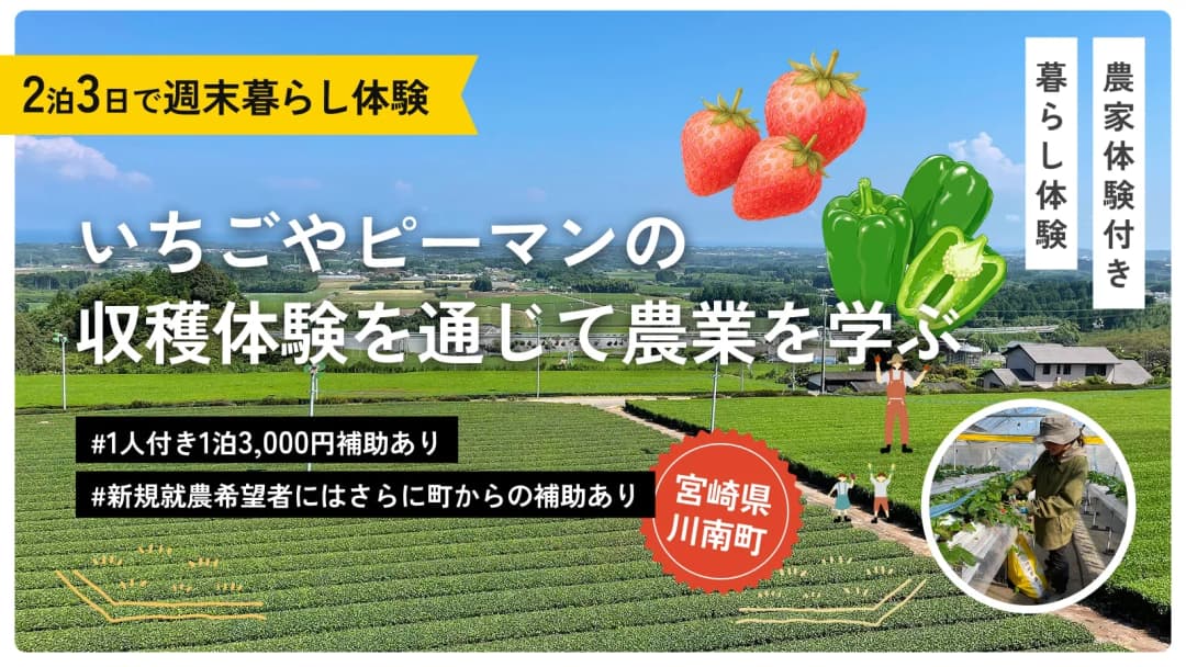 宮崎県川南町｜農業体験つき