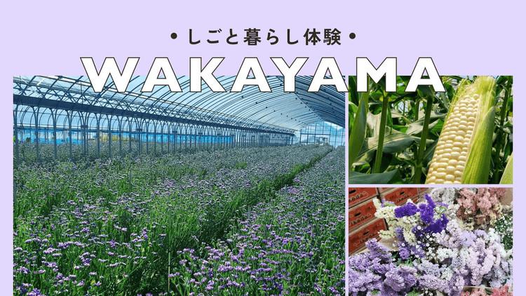 印南町で花の仕事にふれるしごと暮らし体験の画像