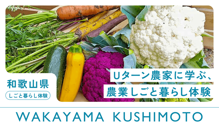 串本町｜Uターン農家に学ぶ、農業しごと暮らし体験の画像