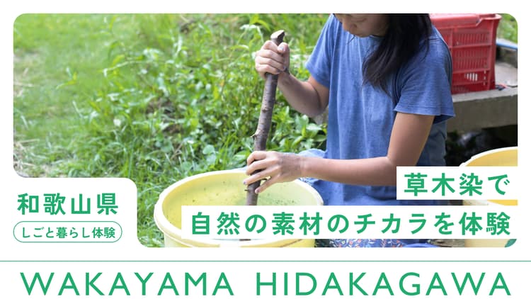 日高川町｜草木染で自然の素材のチカラを感じる体験の画像