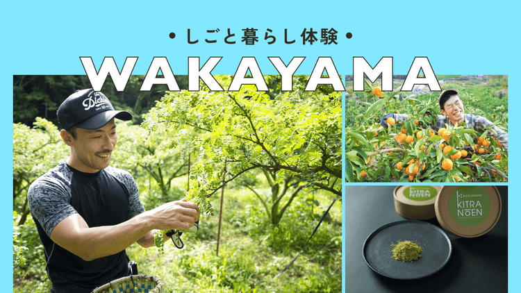 有田川町｜みかん・ぶどう山椒の農業体験プログラムの画像