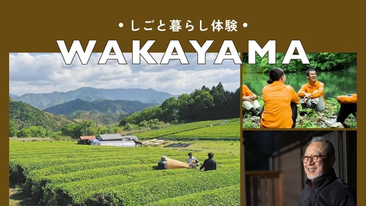 田辺市｜伝統と革新の一次産業しごと体験の画像