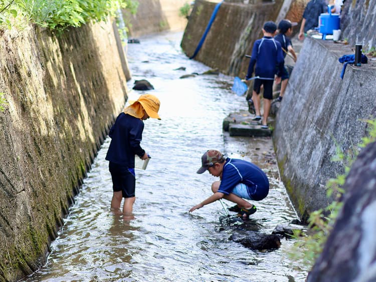 土に触れ五感をひらく里山暮らし体験の画像