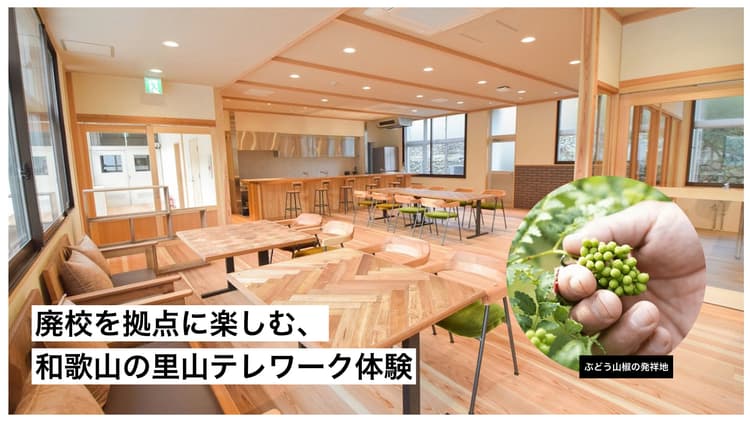 和歌山紀中エリア｜廃校を拠点に楽しむ、里山テレワーク体験の画像