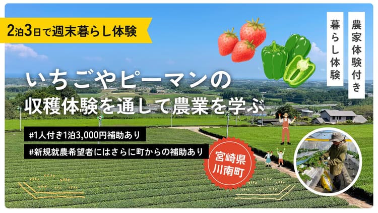 ピーマン(もしくはいちご)農家の暮らしを体験してみませんか?の画像